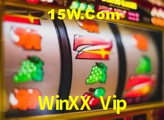 Security Systems WinXX Vip